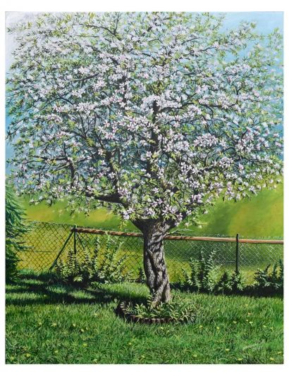 stara jabłoń - a Paint Artowrk by ALEKSANDER Stolicki